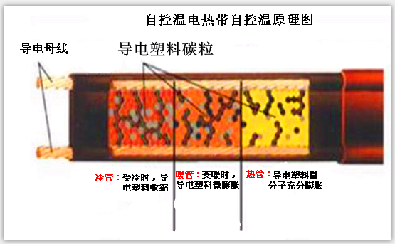 自控溫手机在线看片原理