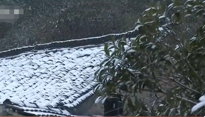 未安裝手机在线看片的屋頂上的積雪